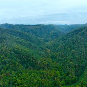 DJI_0821