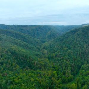 DJI_0822