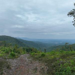 DJI_0826