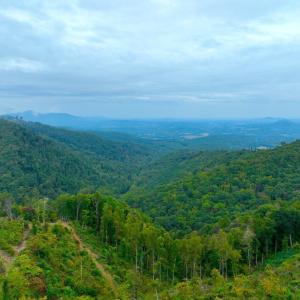DJI_0828