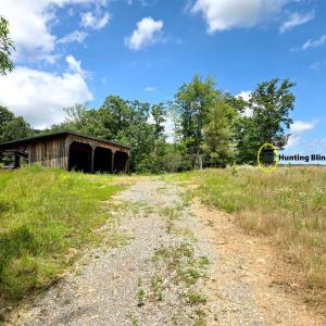 Jim--20250618_132112