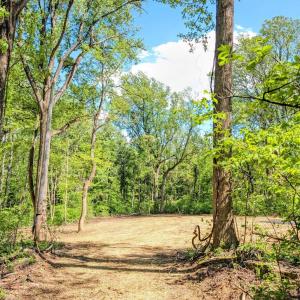 Photo #5 of 3964 HIDDEN VALLEY LN, LINDEN, VA 5.0 acres