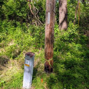 Photo #8 of 3964 HIDDEN VALLEY LN, LINDEN, VA 5.0 acres