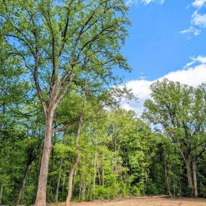 Photo #10 of 3964 HIDDEN VALLEY LN, LINDEN, VA 5.0 acres