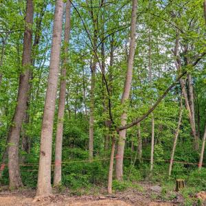Photo #11 of 3964 HIDDEN VALLEY LN, LINDEN, VA 5.0 acres