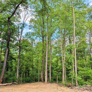Photo #14 of 3964 HIDDEN VALLEY LN, LINDEN, VA 5.0 acres