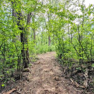 Photo #15 of 3964 HIDDEN VALLEY LN, LINDEN, VA 5.0 acres
