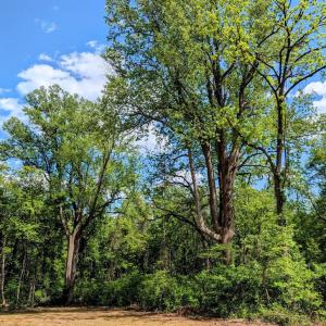 Photo #16 of 3964 HIDDEN VALLEY LN, LINDEN, VA 5.0 acres