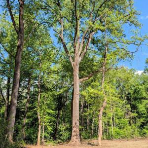 Photo #22 of 3964 HIDDEN VALLEY LN, LINDEN, VA 5.0 acres