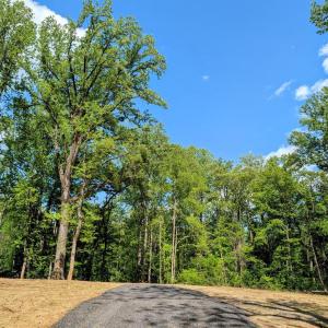 Photo #23 of 3964 HIDDEN VALLEY LN, LINDEN, VA 5.0 acres