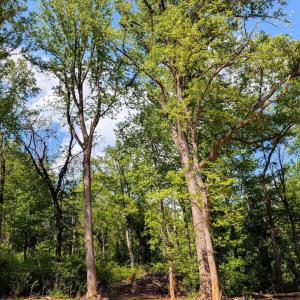 Photo #24 of 3964 HIDDEN VALLEY LN, LINDEN, VA 5.0 acres
