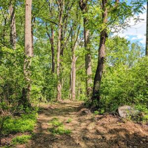 Photo #26 of 3964 HIDDEN VALLEY LN, LINDEN, VA 5.0 acres