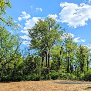 Photo #28 of 3964 HIDDEN VALLEY LN, LINDEN, VA 5.0 acres