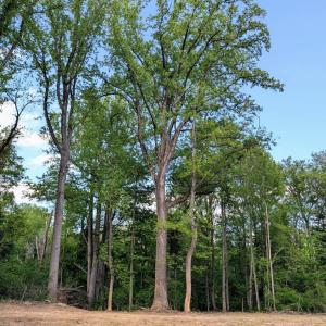 Photo #31 of 3964 HIDDEN VALLEY LN, LINDEN, VA 5.0 acres