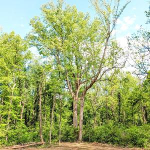 Photo #34 of 3964 HIDDEN VALLEY LN, LINDEN, VA 5.0 acres