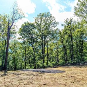 Photo #36 of 3964 HIDDEN VALLEY LN, LINDEN, VA 5.0 acres