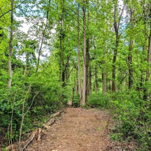 Photo #38 of 3964 HIDDEN VALLEY LN, LINDEN, VA 5.0 acres