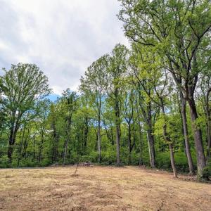 Photo #41 of 3964 HIDDEN VALLEY LN, LINDEN, VA 5.0 acres