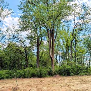 Photo #45 of 3964 HIDDEN VALLEY LN, LINDEN, VA 5.0 acres