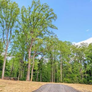 Photo #48 of 3964 HIDDEN VALLEY LN, LINDEN, VA 5.0 acres