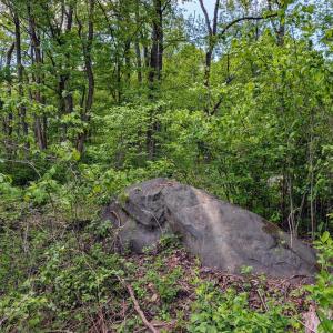 Photo #50 of 3964 HIDDEN VALLEY LN, LINDEN, VA 5.0 acres