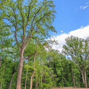 Photo #51 of 3964 HIDDEN VALLEY LN, LINDEN, VA 5.0 acres