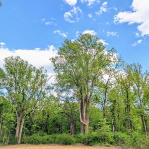 Photo #52 of 3964 HIDDEN VALLEY LN, LINDEN, VA 5.0 acres