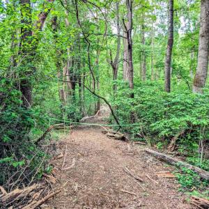 Photo #56 of 3964 HIDDEN VALLEY LN, LINDEN, VA 5.0 acres