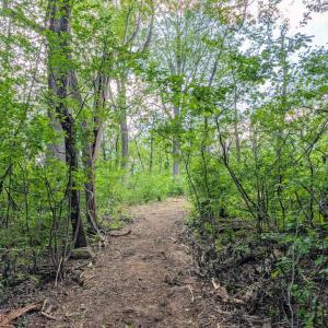Photo #57 of 3964 HIDDEN VALLEY LN, LINDEN, VA 5.0 acres