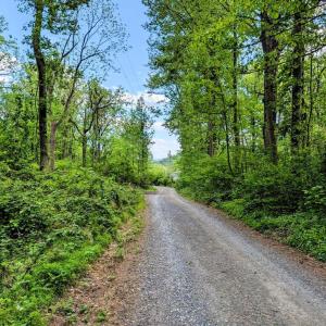 Photo #63 of 3964 HIDDEN VALLEY LN, LINDEN, VA 5.0 acres