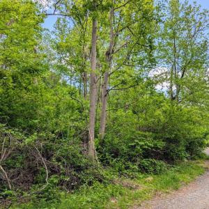 Photo #66 of 3964 HIDDEN VALLEY LN, LINDEN, VA 5.0 acres