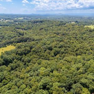 08-Lot 60 Lakepointe Cove Ct_08