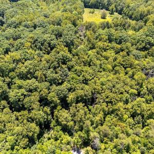 09-Lot 60 Lakepointe Cove Ct_09