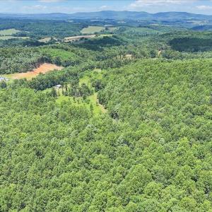 07-DJI_20250729121958_0010_D