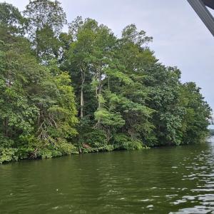 Longview Estates Lot 9 from water #1