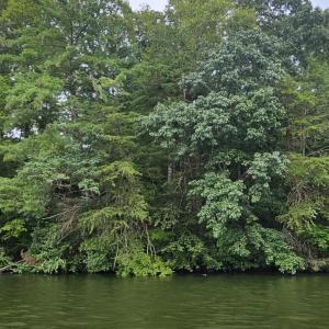 Longview Estates Lot 9 from water #3