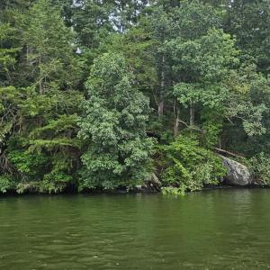 Longview Estates Lot 9 from water #4
