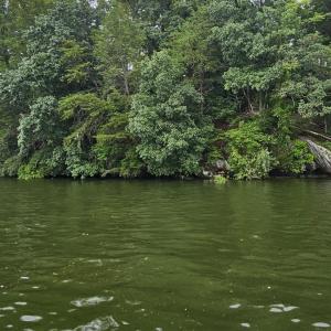 Longview Estates Lot 9 from water #5