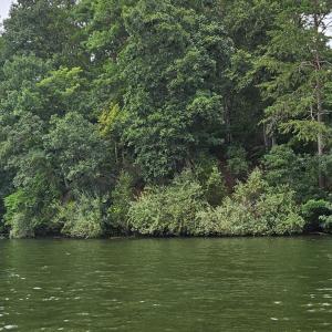 Longview Estates Lot 9 from water #6