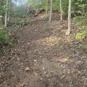 Longview Estates Lot 9 #44