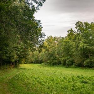 untitled-11