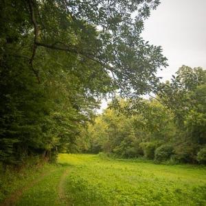 untitled-12