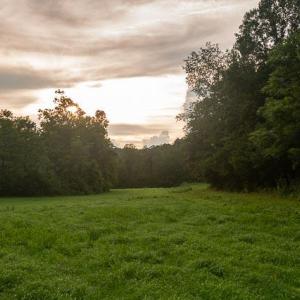 untitled-14