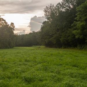 untitled-15