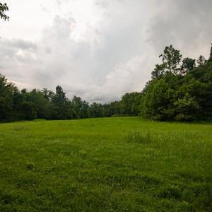 untitled-16