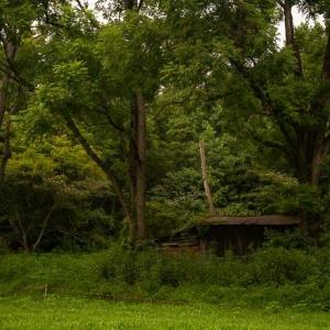 untitled-17