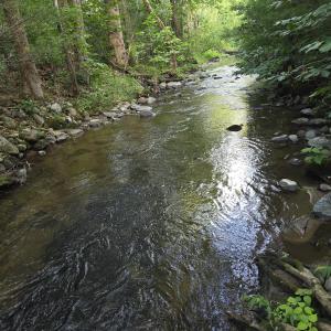 Beautiful Creek