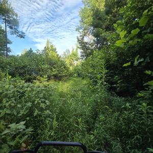 Trails