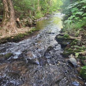 Stony Creek
