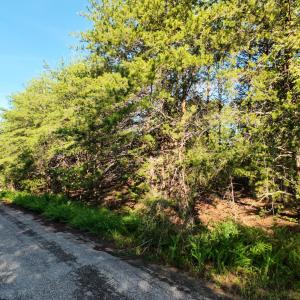 12CliftonCir_59328_2